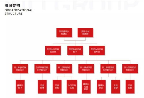 杨子家族商业版图大起底 旗下上市公司拟开展融资租赁,小贷被限于县内经营