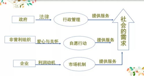 江维 社会组织如何参与基层社会治理 深度干货